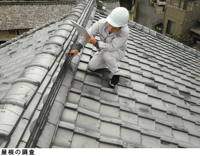 屋根の調査