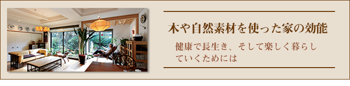 ２階にLDKを移設した家の実例集