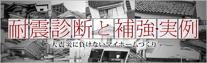 耐震診断と補強・実例　大震災に負けないマイホームづくり