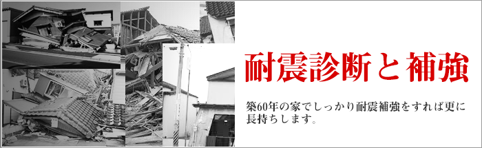 耐震診断と補強・実例　大震災に負けないマイホームづくり